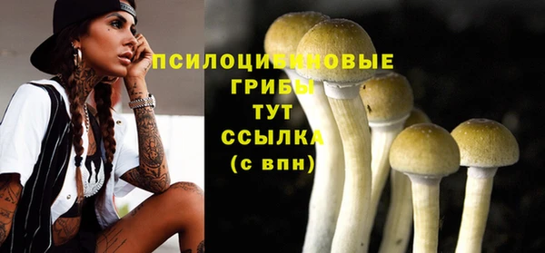 крисы Абинск